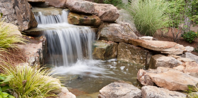 istock_000015941321small