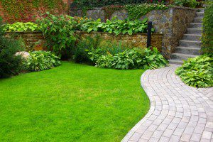 Get a new lawn or Raleigh lawn renovation by Evergreen!